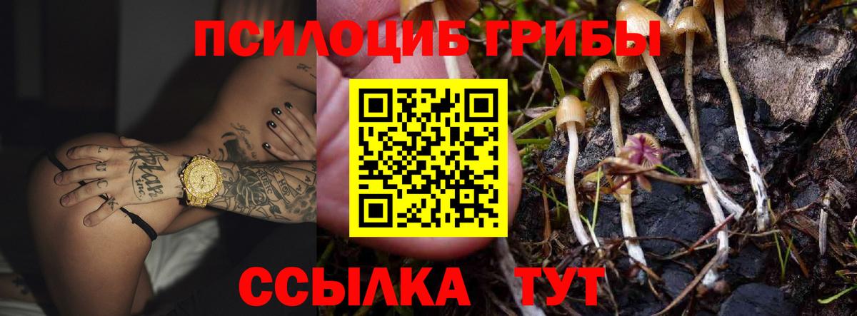 Можайск  Галлюциногенные грибы Magic Shrooms  Вход с VPN 